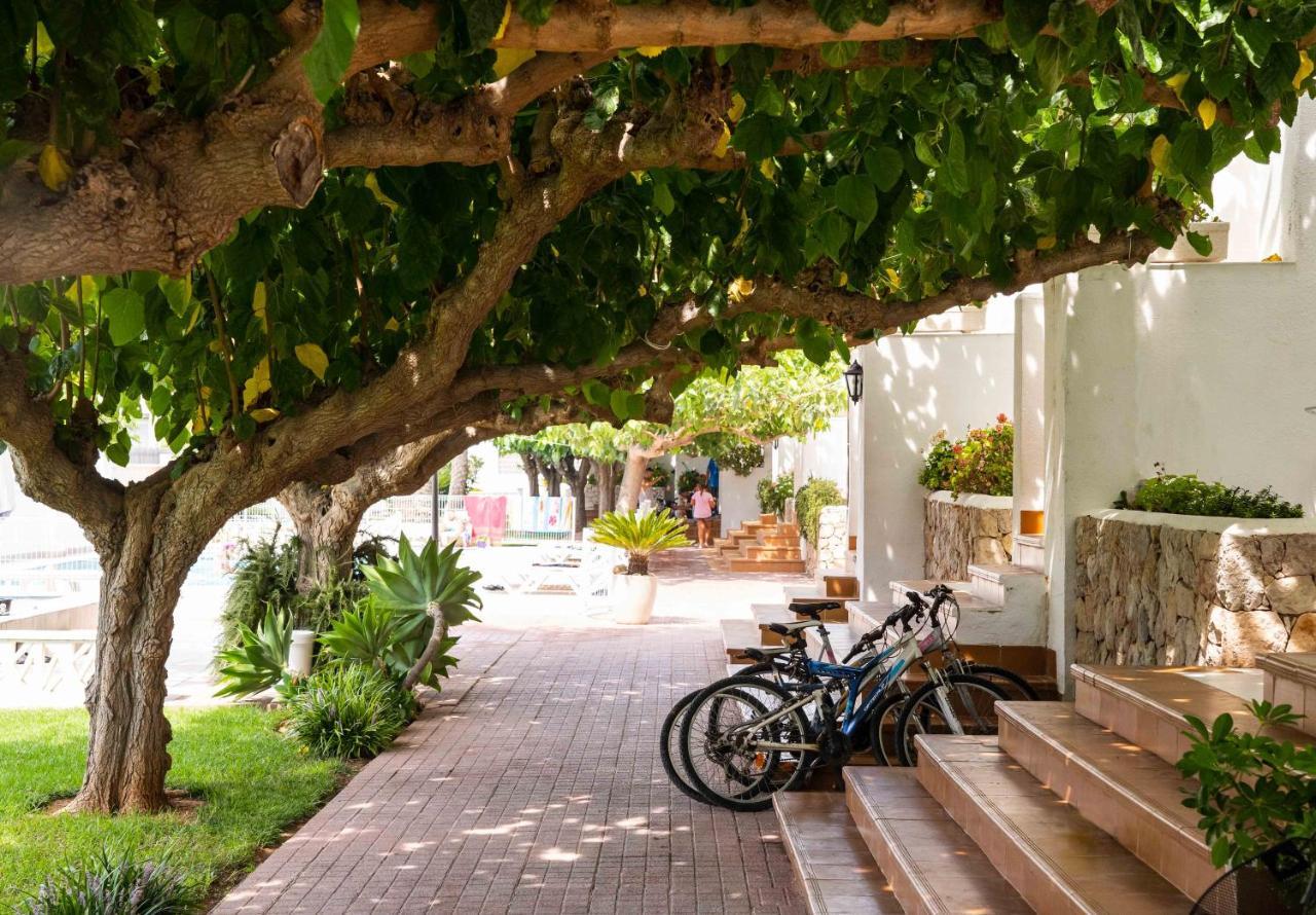Apartamentos Els Romers Benicarlo-Peniscola Exterior photo